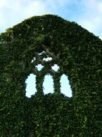 A view of one of the windows in the ruins at Clonkeenkerrill Friary, Co. Galway