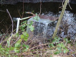 Dumped shopping trolley