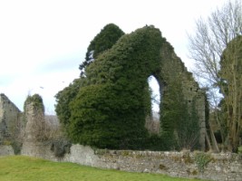 Kildare Friary covered in ivy, Kildare town, Co. Kildare