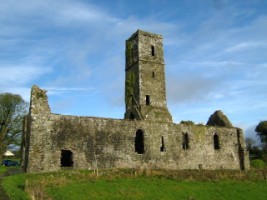 A view of Moor Abbey, Galbally, Co. Limerick