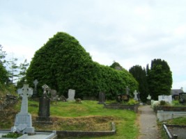 View of the friary church in Jamestown, Co. Leitrim